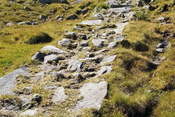 Dammartig ausgeführter Weg