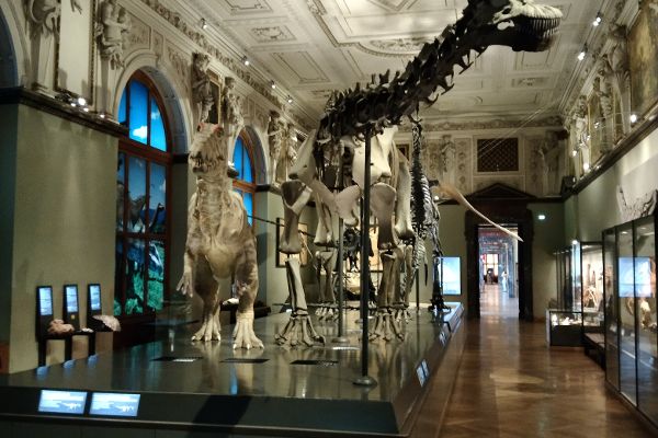 Einblick in den Dinosaurierraum