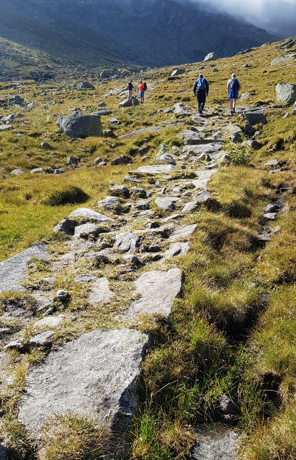 Dammartig ausgeführter Weg