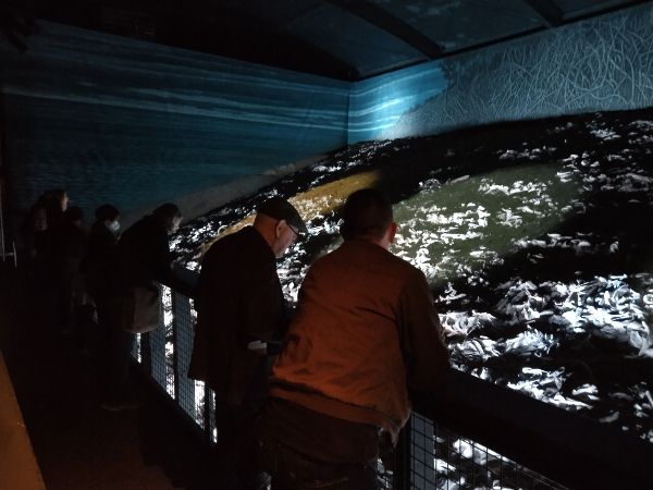 eine Gruppe von Menschen steht vor einem Austernriff im Museum