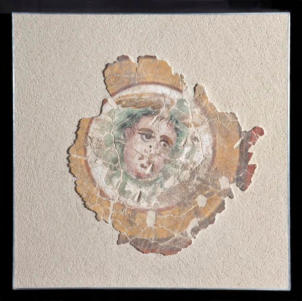 Medusa